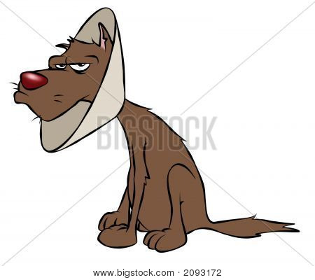 กรวย doggy