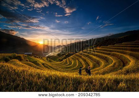 Two undefined Vietnamese Hmong are walking in the fantastic landscape of rice field terrace for prepare harvest when sunrise at Northwest Vietnam. Mu Cang Chai Yen Bai province Vietnam