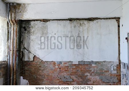 Unhealthy Mold Damaged Walls, Ceilings And Floors