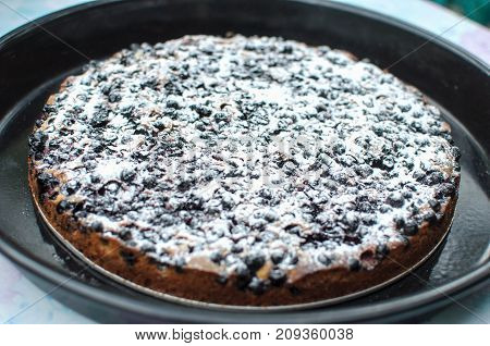 Blackcurrant Tart With Sugar Powder On A Round Baking Tray