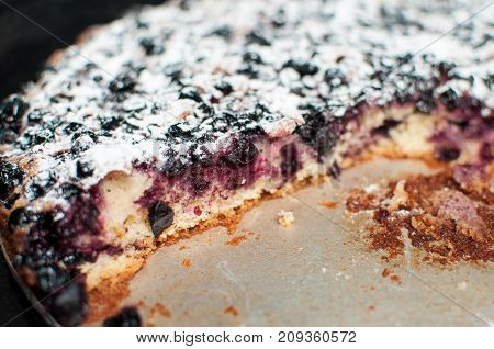 Blackcurrant Tart With Sugar Powder On A Round Baking Tray