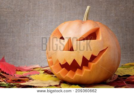Jack's Head Of A Lantern Carved From Pumpkin For Halloween