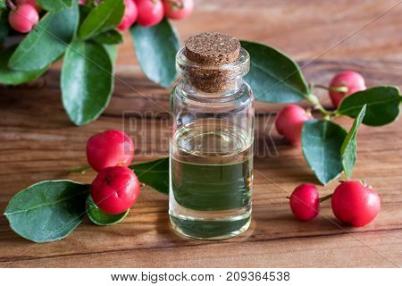 A bottle of wintergreen essential oil with wintergreen leaves and berries on a wooden background