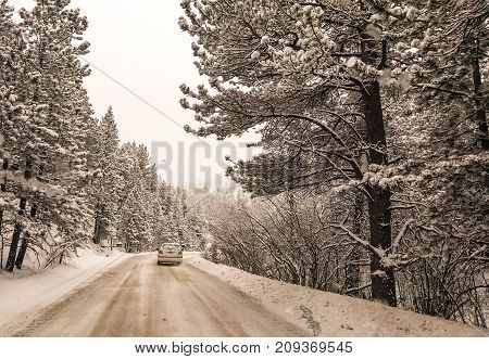 Cold winter snow in Gold Hill Colorado