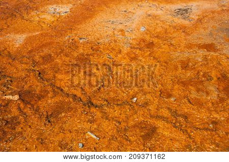 Yellowstone National Park
