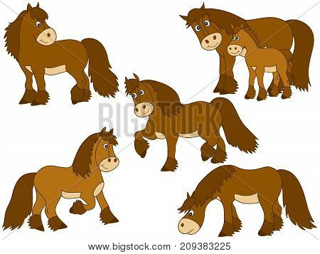 Vector set of cute cartoon horses. Vector horse. Horses vector illustration
