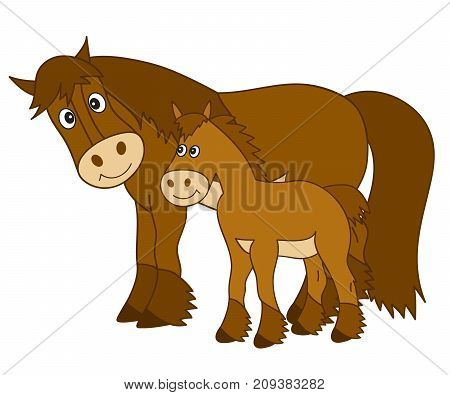 Vector cute cartoon horse with foal. Vector horse. Horses vector illustration