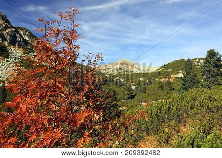 Alpine landscape in National Park Retezat, Romania, Europe