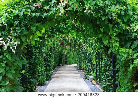 Beautiful Footpath In The Garden. The Walk Way With Camber Colorful Flowers And Trees Background.