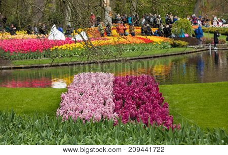 LISSE NETHERLANDS - APRIL 19 2017: Visitors at the Keukenhof Garden in Lisse Holland Netherlands.