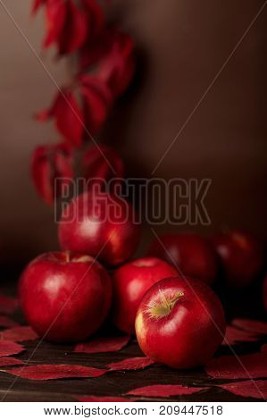 Autumn monochrome still-life in red and burgundy shades. Selective focus.