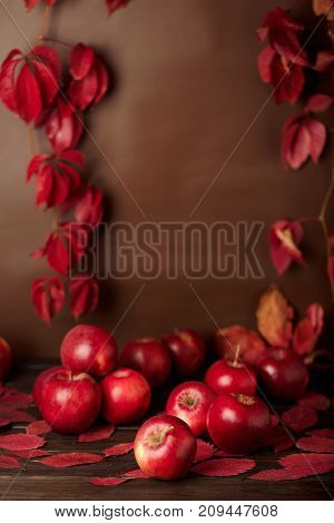 Autumn monochrome still-life in red and burgundy shades. Selective focus.