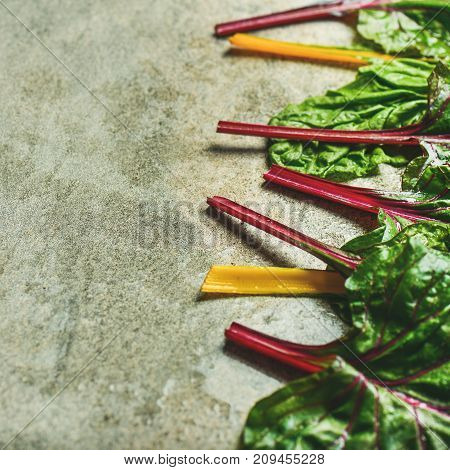 Flat-lay of fresh leaves of swiss chard over concrete stone background, copy space, selective focus, square crop. Food frame. Clean eating, vegetarian, alcaline diet, organic, healthy cooking concept