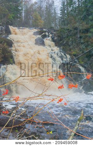 Falls in park in the Karelia, in clear summer day