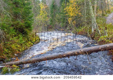 Falls in park in the Karelia, in clear summer day