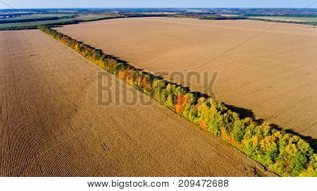 Aerial view of multi-colored autumn trees share plowed fields.
