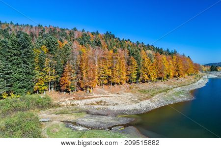 Colorful trees at the lakeside of Lac de la Lauch in the Vosges mountains - Alsace, France