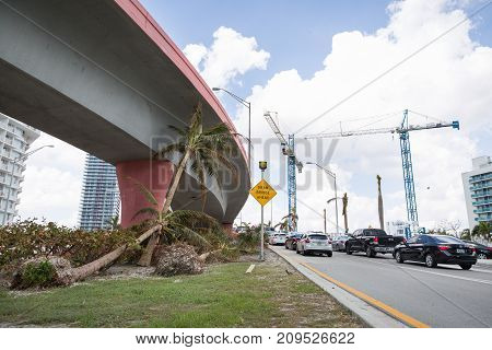 Miami Florida USA September 20 2017: Damaged palm trees on one of the streets. After hurricane Irma. Trash and damaged objects under the bridge.