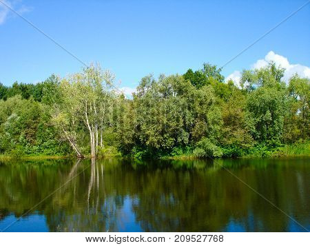 Russian nature. The green woods. Lake in summer forest. Green trees reflected in the lake in Russian. Summer landscape. Russian forest in summer in Sunny day. Nature Reserve. The lake in Russia. Travel in Russia