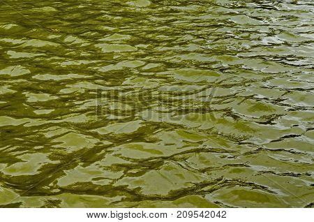 Interesting natural background of water with reflection at lake in Popular north park, Vrabnitsa district, Sofia, Bulgaria