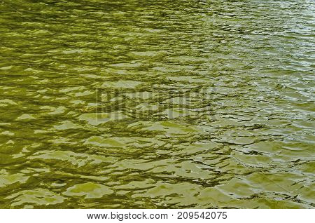 Interesting natural background of water with reflection at lake in Popular north park, Vrabnitsa district, Sofia, Bulgaria
