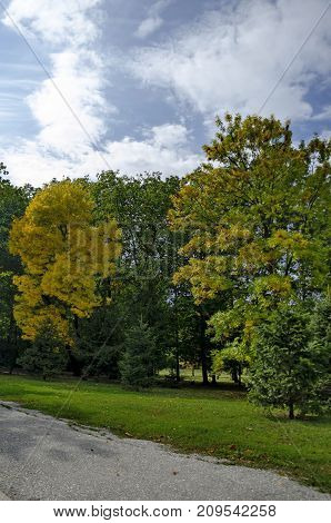 Popular  North park  for rest with autumnal old forest in  Vrabnitsa district, Sofia, Bulgaria