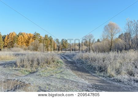 Autumn Autumn Frost Dry Plant first frost Frost Frost In The Field Frost On Plants Frost On The Grass Frost On The Leaves Frost On The Meadow Frost On The Trees Frozen Field Frozen Leaves Frozen Meadow Frozen Plant Late Autumn Meadow Nature Road In Frost