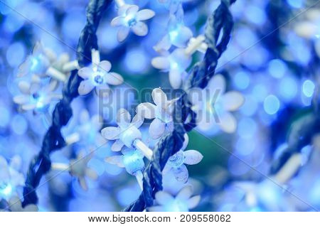 Christmas Led Lights In The Form Of Flowers, Blue Bokeh, Selected Focus