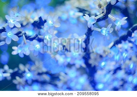 Christmas Led Lights In The Form Of Flowers, Blue Bokeh, Selected Focus