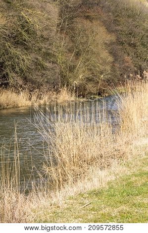 riparian scenery at Jagst river in Southern Germany at early spring time