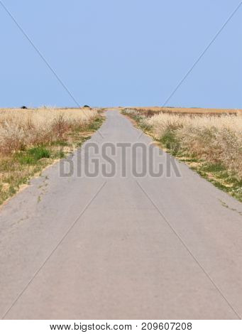 Long Road 2