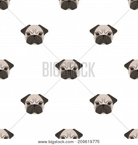 Breed of a dog, a pug.Pug's muzzle single icon in cartoon style vector symbol stock illustration .