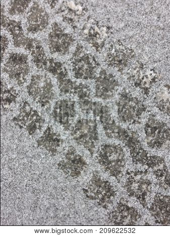 Mud and snow tires leave a good tread track in a layer of freshly fallen snow.