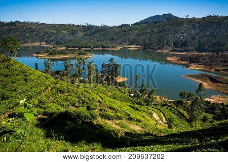 Castlereigh reservoir and surrounded tea plantations, Hatton Sri Lanka