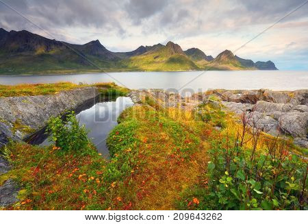 Autumn day in Norway. Colorful fjord shore with red foliage on sunny autumn day.