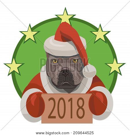 Dog fight pit bull shows that came on a horoscope year of the dog 2018 and he congratulates everybody with new year!