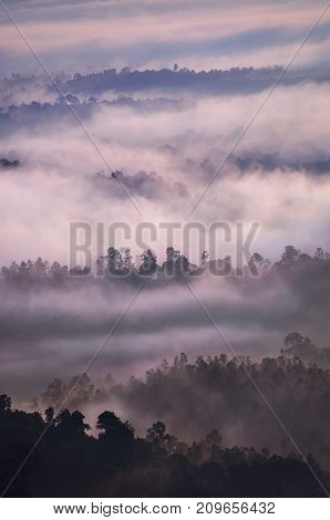 Sunrise over tropical rainforest with fog, Bukit Panorama, Sungai Lembing, Malaysia, Asia