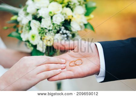 Wedding rings on the hands of the newlyweds. Close-up