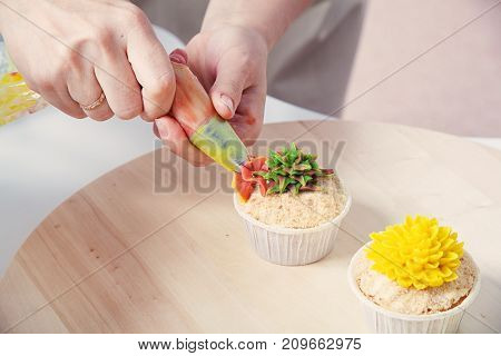 Confectioner Decorates  Cupcake