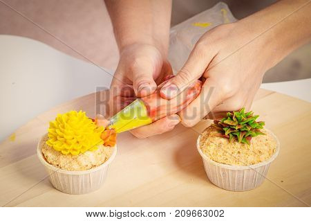 Confectioner Decorates  Cupcake