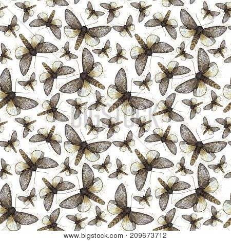 Watercolor drawing seamless background of shaggy butterfly moths, night butterfly, brown color, wings light with spots on white background for decor, prints