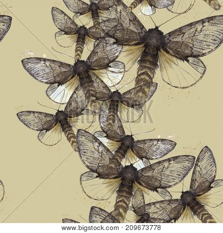 Watercolor drawing seamless background of fluffy butterfly bear, night butterfly, brown color, wings light with spots on a colored background for decoration, print