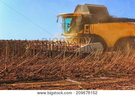 Combine Harvester Working In Action On The Field. Agriculture. Cultivated Area.