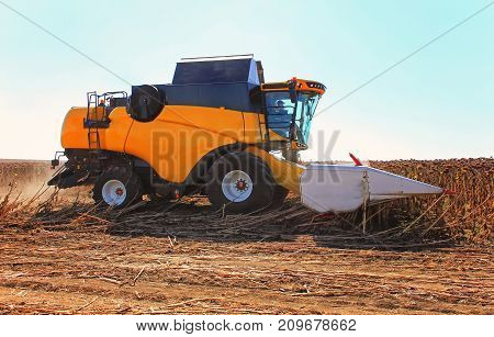 Combine Harvester Working In Action On The Field. Agriculture. Cultivated Area.