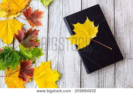 Book And Colorful Maple Leaves On White Wooden Background