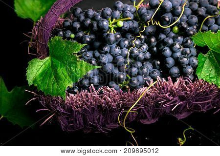 Red Wine Grapes In Voiolet Basket On Bllack Background.