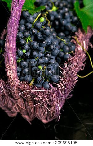 Red Wine Grapes In Voiolet Basket On Bllack Background.
