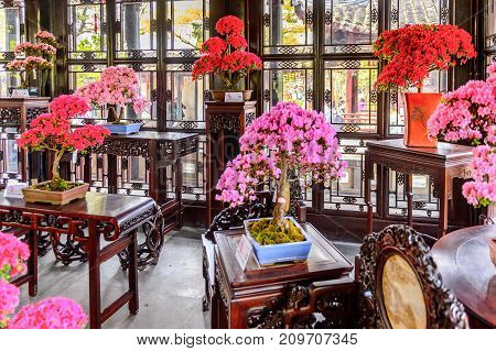 The Humble Administrator's Garden