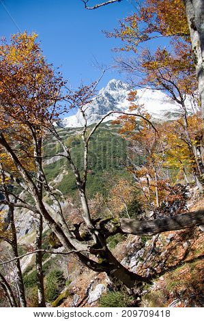 Autumn Hike To Grosser Priel Mountain