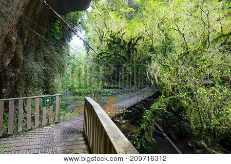 The famous Mangapohue Natural Bridge near Waitomo Caves on New Zealand's north island.